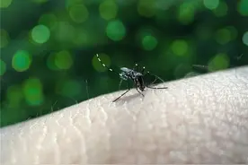 蚊子咬了怎么消肿止痒最快，这六个方法能缓解蚊子咬的痛苦图片