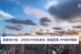 中国财富报道|国家统计局：2月份CPI仍处高位，涨幅回落，PPI稳中略降视频封面