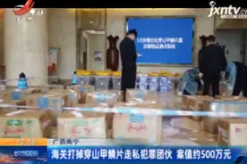 广西南宁：海关打掉穿山甲鳞片走私犯罪团伙 案值约500万元视频封面