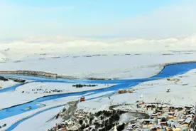 今天的若尔盖 你可以慢慢地听雪落下的声音图片