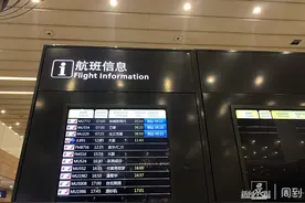 浦东机场T1直击 | 入境到港航班较少，缅甸飞来旅客出关也需要2个多小时图片