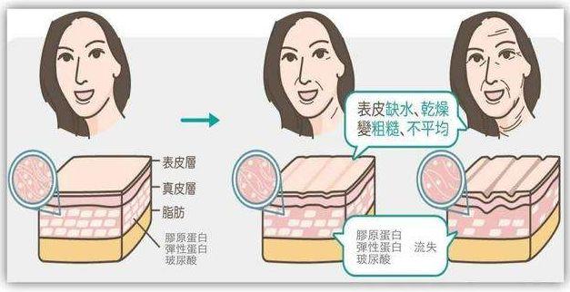 子宫增生可以吃花胶吗 2026年子宫增生可以吃花胶吗有效果吗