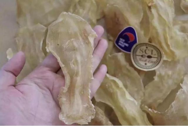 经常长痘能吃花胶吗 2026年长痘的人可以吃花胶吗