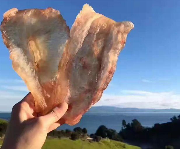 经常长痘能吃花胶吗 2026年长痘的人可以吃花胶吗