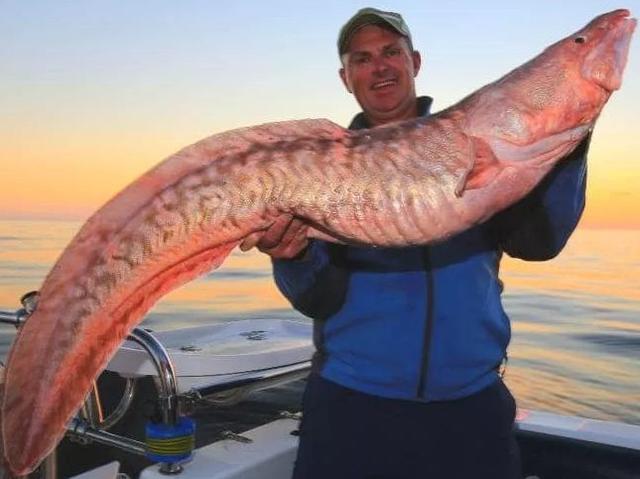 坚持吃花胶的姐妹效果 2026年吃花胶真的可以美容养颜吗