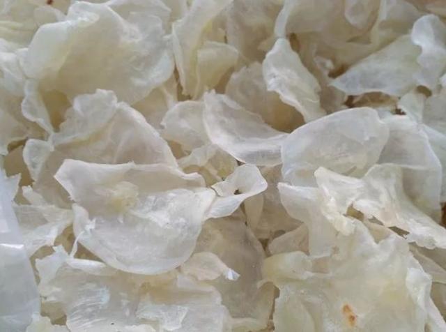 坚持吃花胶的姐妹效果 2026年吃花胶真的可以美容养颜吗