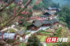 乡贤返乡兴山寨——永顺陈家坡建设美丽乡村的故事图片