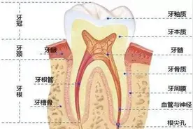 牙齿发黄怎么处理？胶东半岛口腔医院告诉您图片