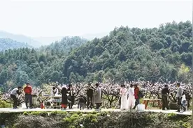 乡村旅游“春暖花开”图片