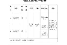 滁州市公安局琅琊分局2020年公开招聘9名辅警图片
