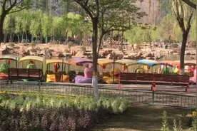 郑州动物园恢复开放，设施全开无人乘坐视频封面