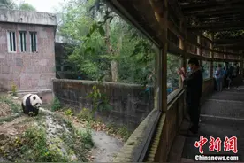成都动物园恢复开放 每天限流3000人次图片