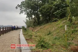 拆铁栏清菜地，南宁仙葫邕江湾别墅相关业主：错了就改，服从管理图片
