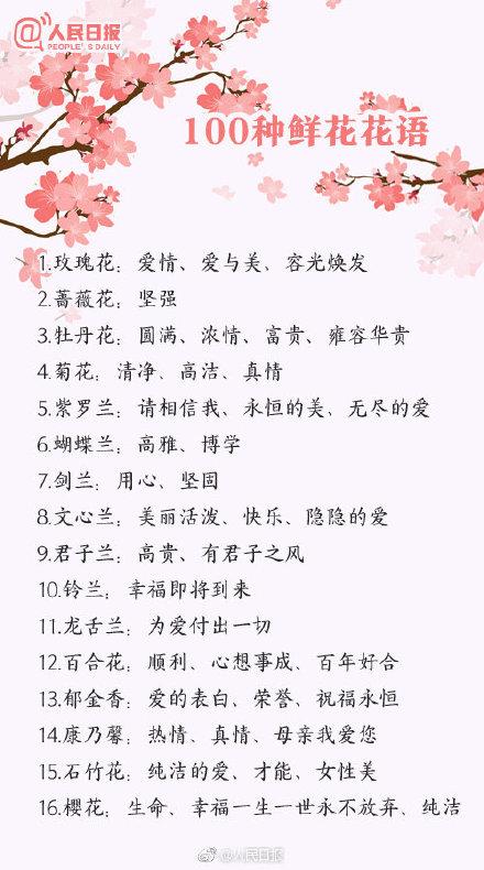 好听的花名及花语（100种花的花语）