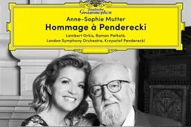 艺术家面对病毒果然不一样！小提琴“女神”确诊后奉献分屏连线演奏图片