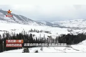 高原严寒，30天就能收菜？边防官兵这波操作厉害了图片