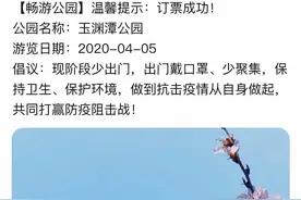 玉渊潭早樱盛开票难预约，2元门票黄牛翻百倍出售图片