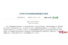 经济学家谈3月PMI：疫情冲击大，后续政策对稳定经济作用积极图片