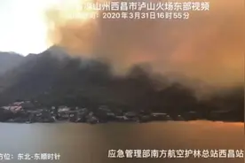 最新航拍 | 西昌泸山火场复燃图片