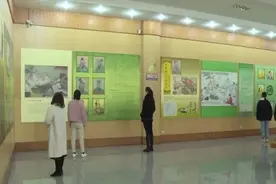 兖州区博物馆恢复开放 每日限200人图片