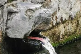 济南黑虎泉虎头吐出了“红舌头”! 网友：是真虎，没错了图片