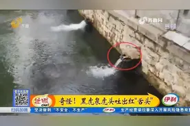济南：奇怪！黑虎泉虎头吐出红“舌头”视频封面