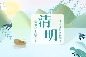 科画·节气 | 梧桐枝上始含英：4月4日15时38分“清明”