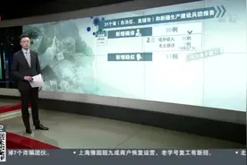 31个省（自治区、直辖市）和新疆生产建设兵团报告视频封面