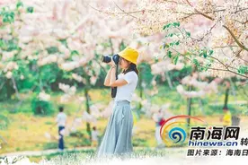 寻机遇、练内功、推升级 海垦企业促旅游复苏图片