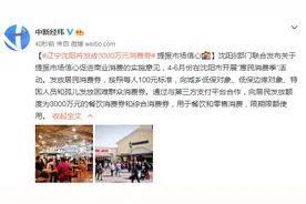 辽宁沈阳：将发放3000万元消费券 提振市场信心图片