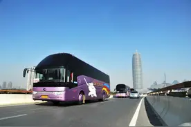 4月11日起，郑州开通洛阳赏牡丹大巴直通车图片
