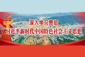 【梅溪说法】光缆掉落引事故 法官调解化纠纷图片