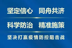 市政协主席陈鸿宁率相关部门到凤凰岭大桥、柳北体育园重大项目建设情况~图片