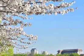 北京玉渊潭公园2元门票被炒到50元 园方：已报案