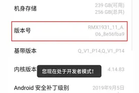 手机设置的禁区！神秘的开发者选项你弄懂了吗图片