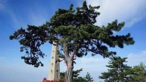 你可知华山之奇，奇在何处？