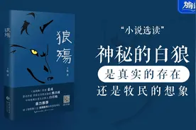 为你读书：小说选读｜神秘的白狼是真实的存在还是牧民的想象？图片