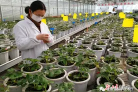 “科特派”再添新力量，甘肃认定首批省级科技特派员图片