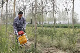 1分钟1棵树！济宁这款微型移树机获国家发明专利图片