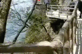 你得是要上天？游客高空栈道爬出栅栏“大鹏展翅”就是为拍照？图片