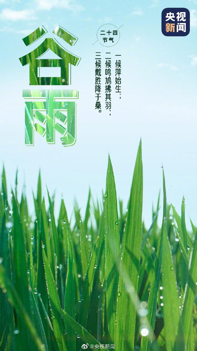 今日，谷雨，春季最后一个节气到了