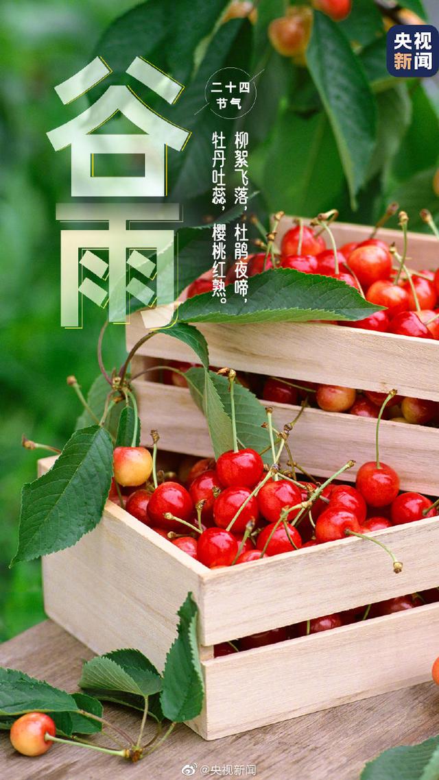 今日，谷雨，春季最后一个节气到了