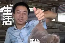 “最严禁令”下，竹鼠及其养殖者何去何从？图片