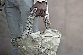 一只人类脊椎骨制作手提包，售价3.5W，14天即可送达图片