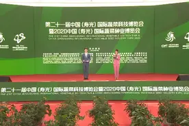 42秒丨第21届寿光菜博会揭开神秘面纱 45万平米展馆“搬”到网上展示图片