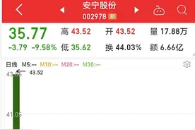 3分钟闪崩17%，上市两天遭暴击，机构联手砸盘！最强打新黄金周来了，这两股10个一字板？图片