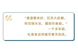 思客问答｜北京的春日，为何多“风”狂？图片