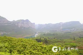种下樱桃树 踏上幸福路图片