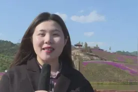 锦绣潇湘·遇见安化｜茶乡花海游玩小攻略图片
