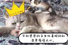 莎士比亚生日，21位华语戏剧人线上创作图片